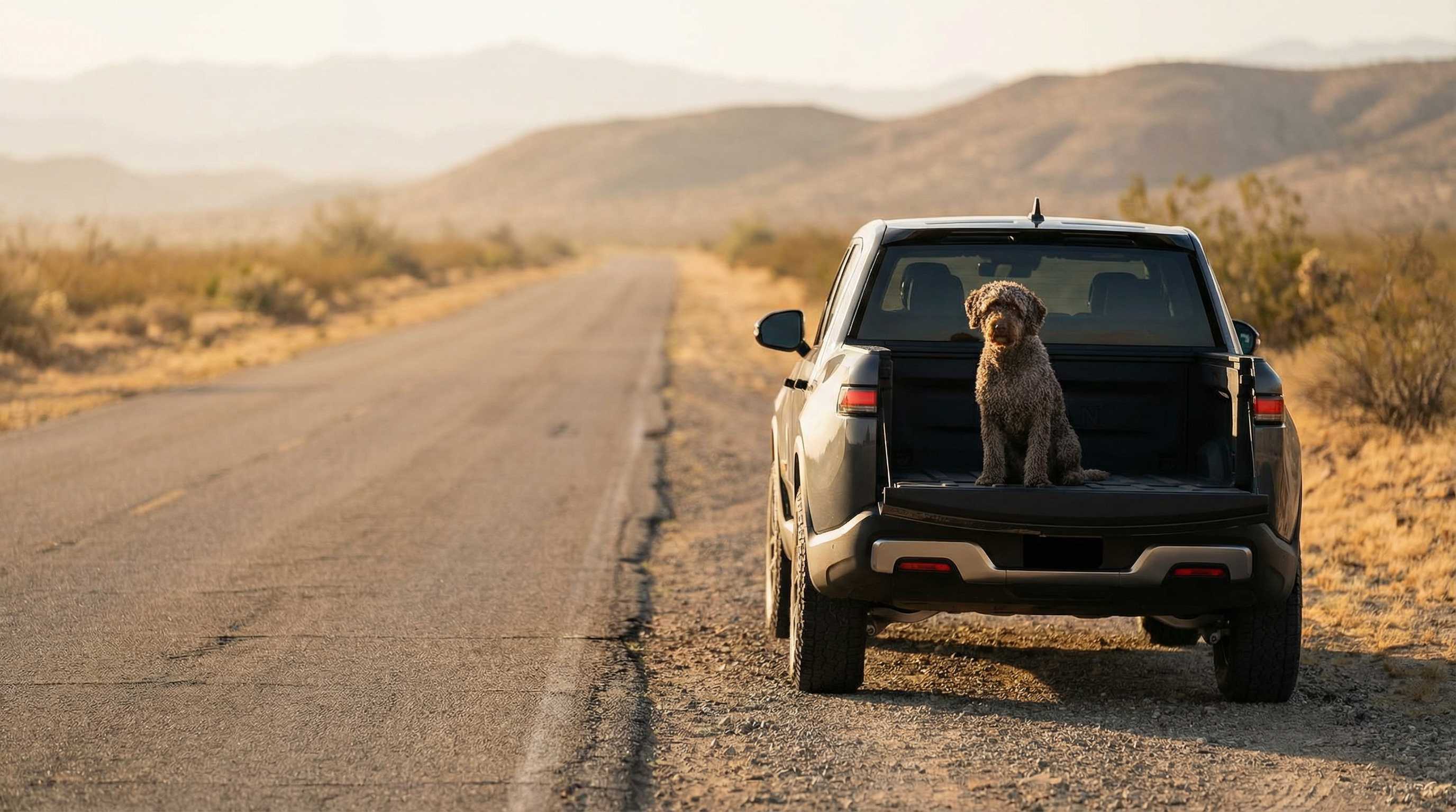 A dark Rivian R1T truck parked on an empty American highway at golden hour with a Spanish Water Dog in the truck bed
